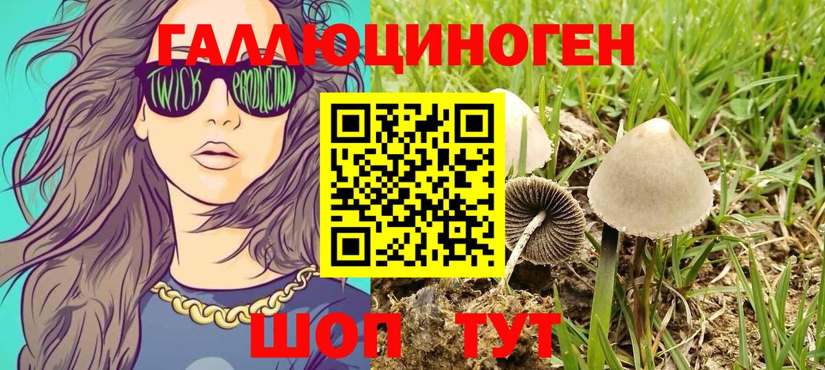 Галлюциногенные грибы MAGIC MUSHROOMS  Псилоцибиновые грибы MAGIC MUSHROOMS  Воткинск  Вход с VPN 