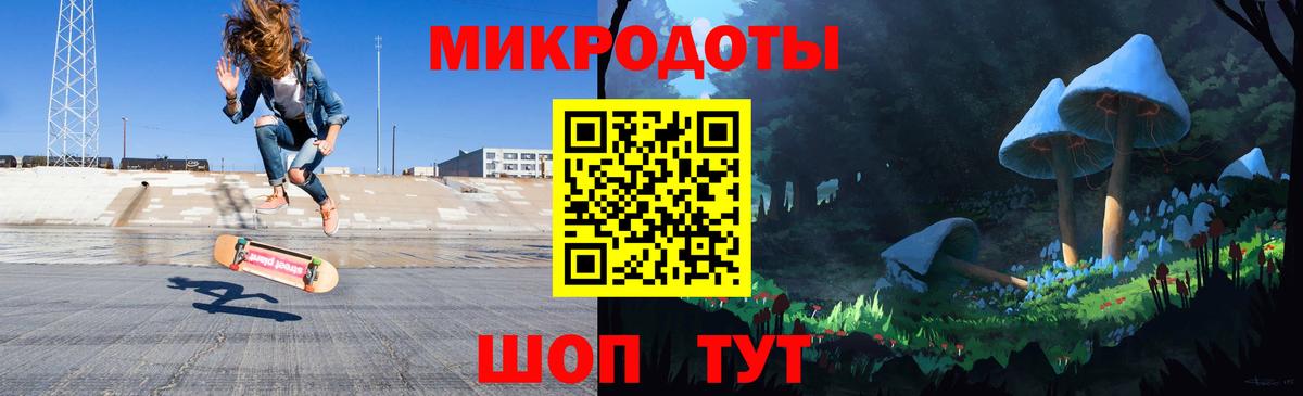 Галлюциногенные грибы Psilocybe Воткинск